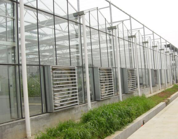 连栋玻璃温室-花卉玻璃温室-智能花卉温室