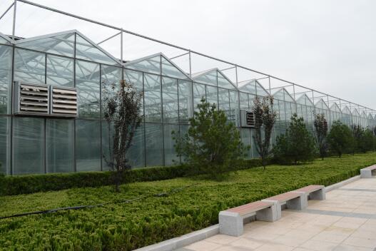 连栋花卉温室-智能花卉温室-玻璃温室