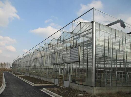 连栋花卉温室-智能花卉温室-玻璃温室