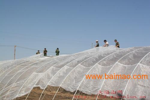 防虫网的应用覆盖养殖业范围
