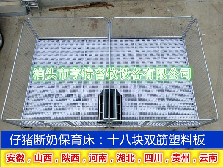 自动化喂猪设备小猪保育床塑料板猪栏铸铁杠梁保育栏