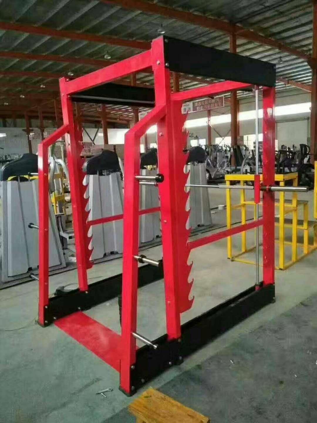 小飞鸟综合训练器龙门架拉力器力量组合大飞鸟健身房
