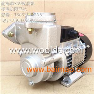 木川油泵 TS-63 370W导热油泵