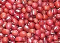 供应种子红小豆（珍珠红）