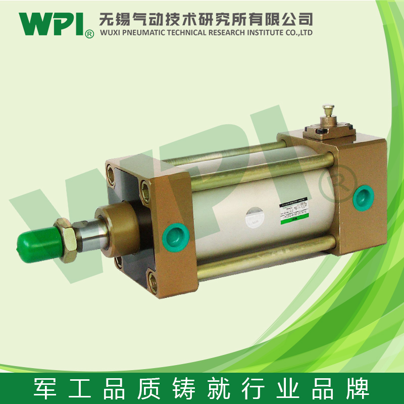 WPI特殊形式气缸，教学等机械设备 防落气缸QGL