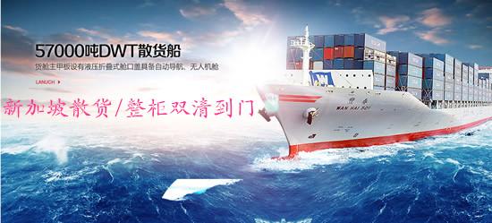 深圳到新加坡国际海运服务物流服务 外贸出口到新加