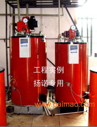 立式燃油（气）热水锅炉