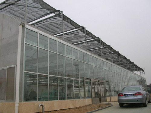玻璃温室大棚建设