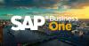 SAP Business One中小型企业ERP软
