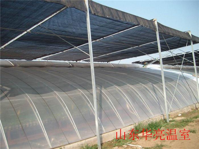 日光温室蔬菜大棚 日光温室大棚价格 日光温室工程