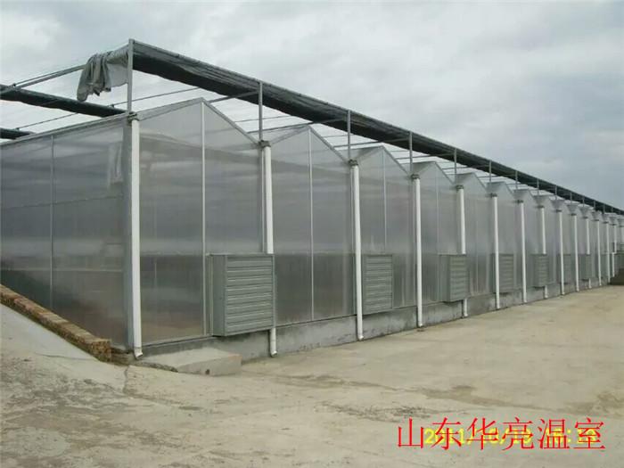 PC阳光板温室建设 山东温室厂家 阳光板温室报价