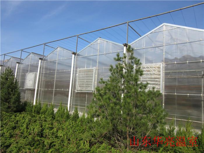 PC阳光板温室建设 山东温室厂家 阳光板温室报价
