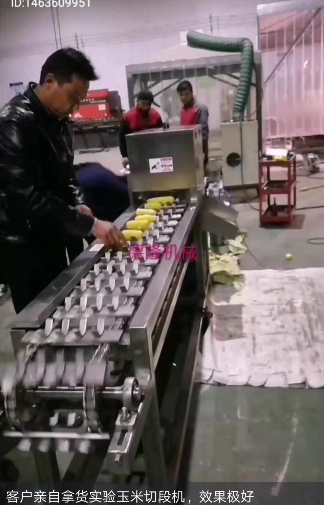 厂家直销冻玉米切段机冻甜糯米分段切割机