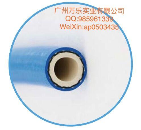 热水清洗软管BLUE WASHING W-0301