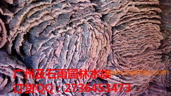 广州及石雨大量批发自然水族爬虫造景香槟树皮