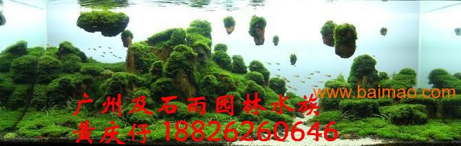 广州及石雨大量批发自然水族鱼缸造景石浮石