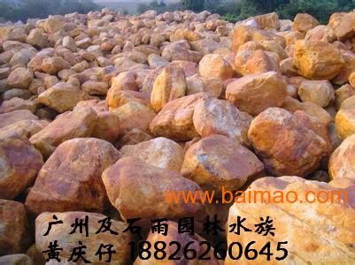 广州及石雨大量批发自然水族造景石黄蜡石