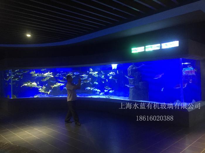 上海康桥路售楼中心会所定制大型亚克力鱼缸造景