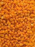 批发玉米 小麦 荞麦 紫番薯