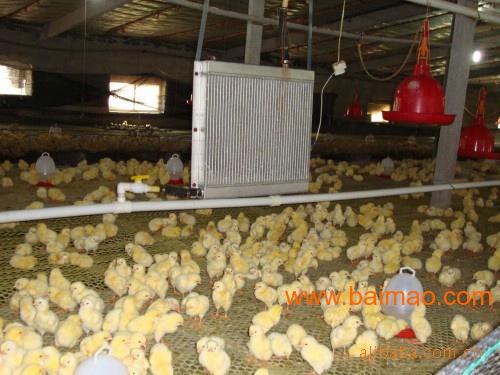 养鸡水暖设备供应商