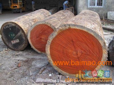 巴黎桑马达加斯加红酸枝原木方料供应---海象木业