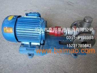 燃油泵RYB10-0.6特殊材质