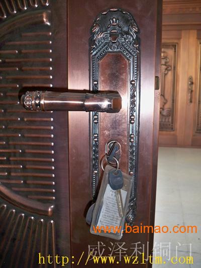 仿铜玻璃门设计安装就找威泽利铜门