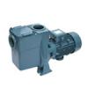 泳池铁泵/泳池金属泵/AQUA ATS系列金属泵