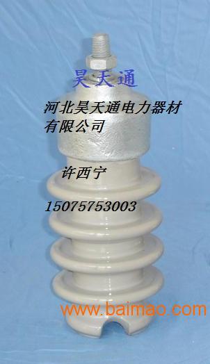 柱式瓷瓶**缘子PS-15/500生产厂家