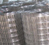 镀锌焊网价格/**正丝网供/镀锌电焊网/镀锌焊网价格