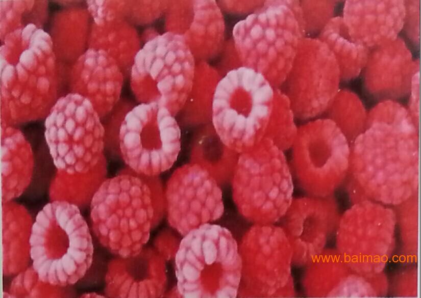 广州**冷冻树莓生产厂家