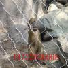 动物园围网 动物笼舍**用网 柔性防护绳网 质量上乘