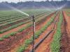 爱梦得管业物超所值的UPVC低压灌溉管新品上市|牡丹江UPVC管