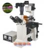 FM-50型研究型荧光显微镜