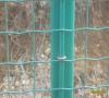 经验丰富铁丝网围栏厂家、湖南湖北养殖铁丝网