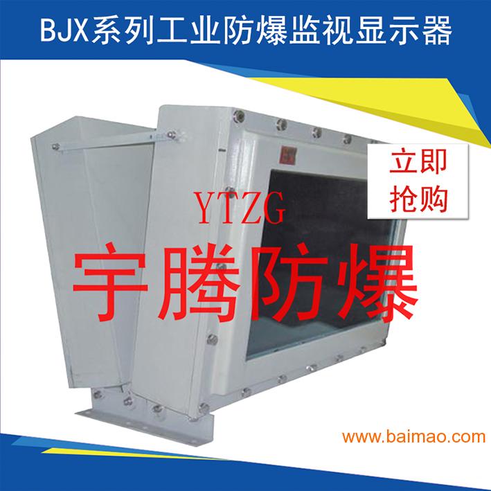 BJX系列工业防爆监视显示器（IIB）