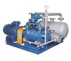 2BW5系列水环真空泵-机组成套装置