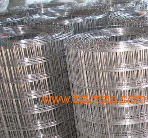 镀锌焊网供应商/**正丝网供/镀锌电焊网