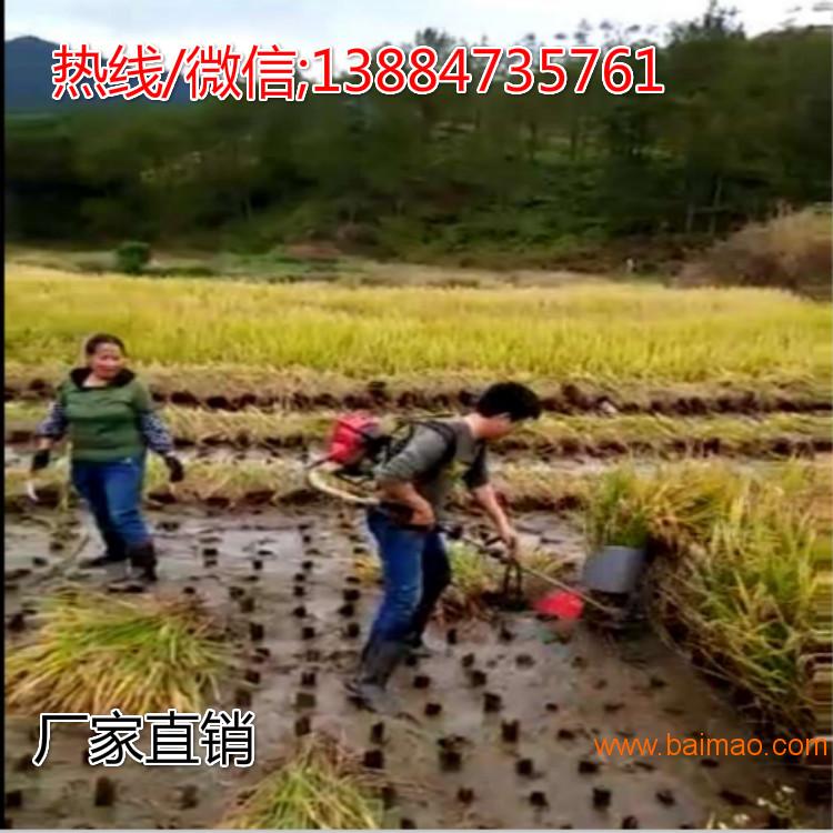 背负式割草机除草机 工作效率高水稻收割机 厂家直销