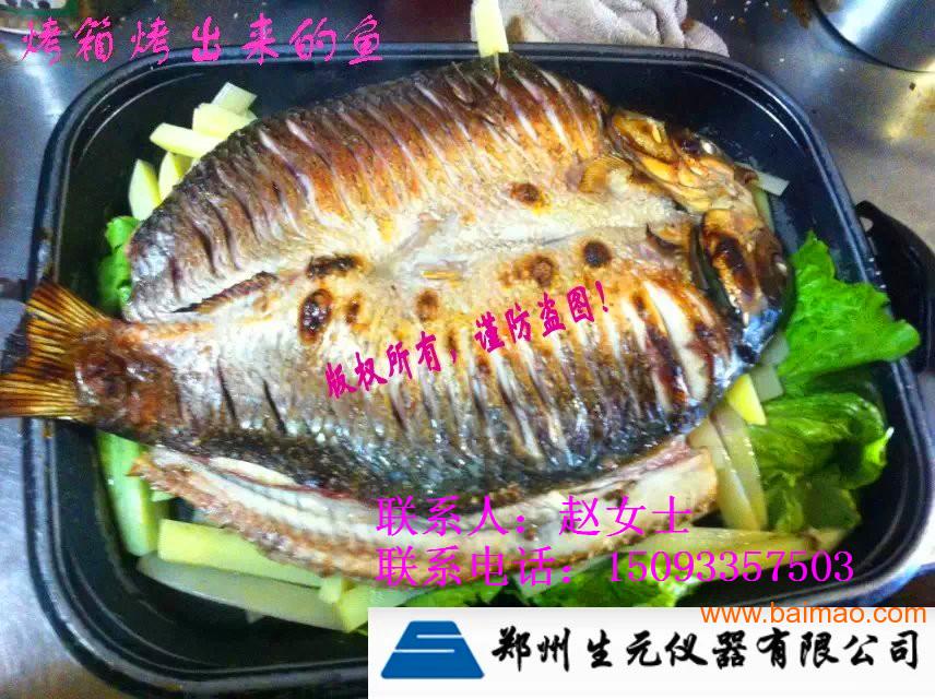 供应烤鱼烤箱河南省郑州市厂家生产价     烤