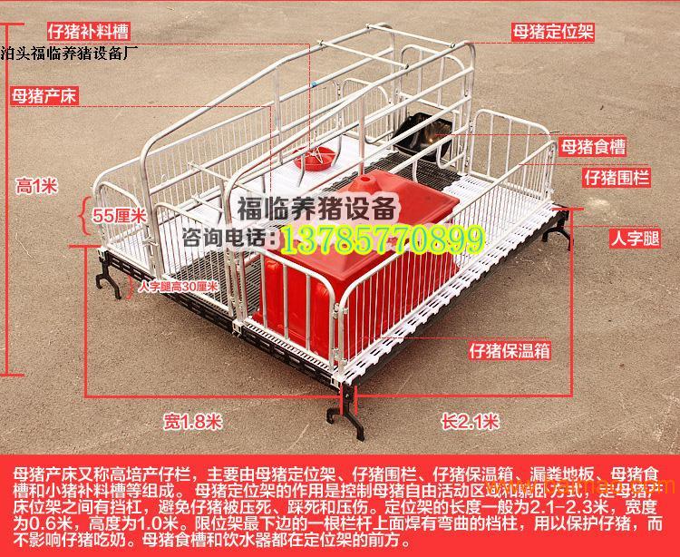 批發母豬產床廠家 出售豬設備產床地址 雙體產床價格