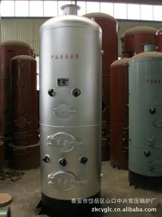 立式常压热水锅炉/燃煤立式锅炉/海口浴池锅炉价格