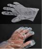 一次性透明塑料手套