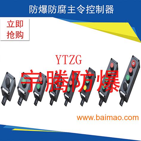 BZA8050系列防爆防腐主令控制器（IIC）