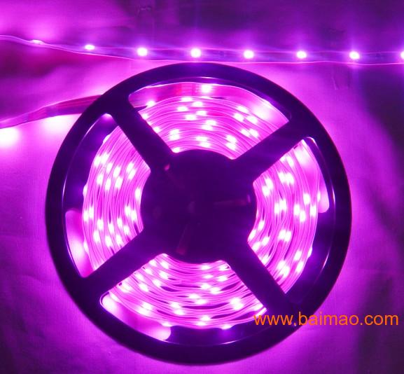 紫色LED贴片灯带