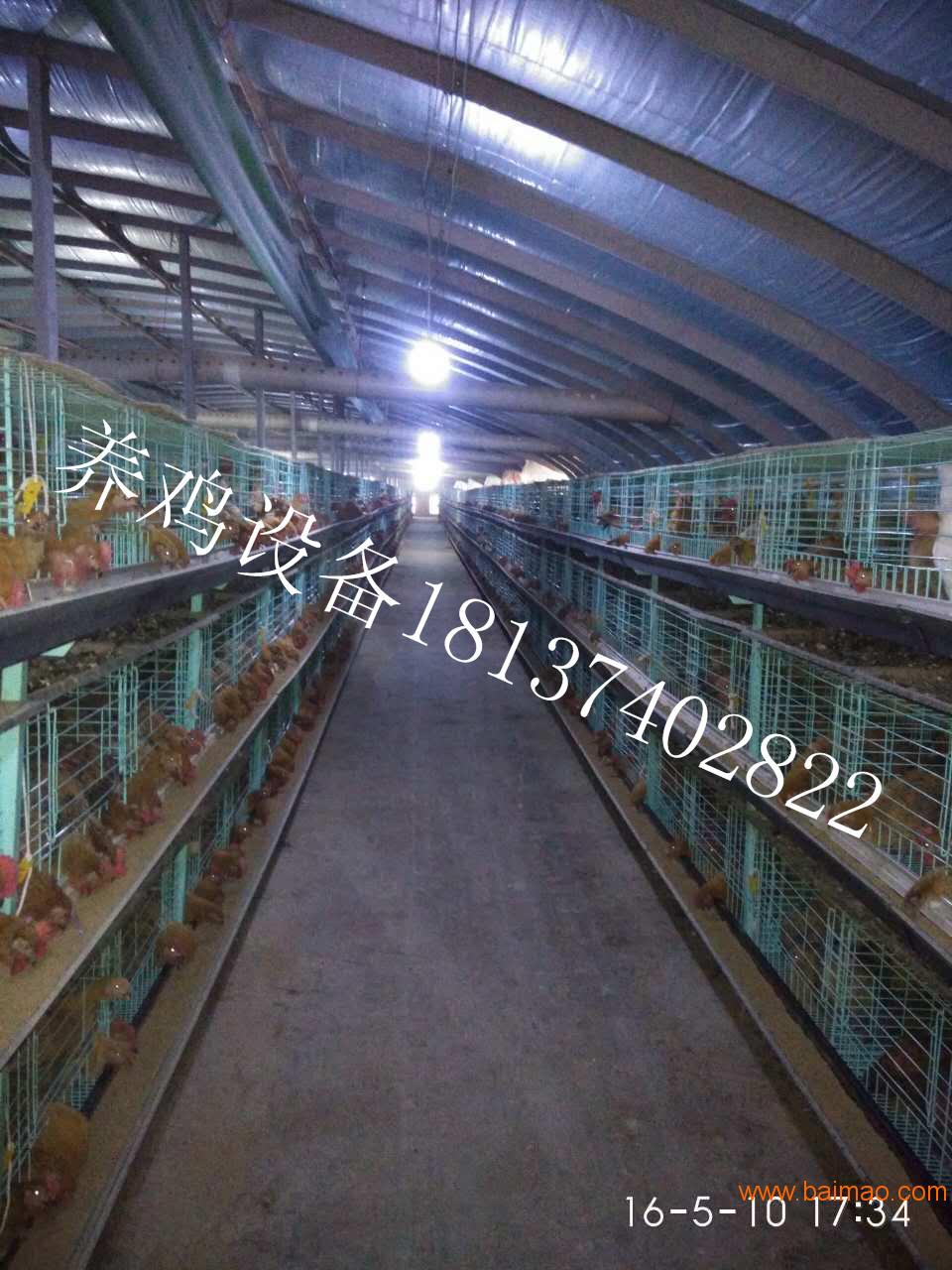 规模化养鸡设备｜自动化养鸡设备｜中州鸡笼