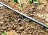 供应滴灌管-农业灌溉、园林灌溉，量大优惠1860