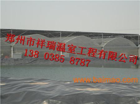 供应阳光板连栋温室骨架郑州的温室大棚建造公司