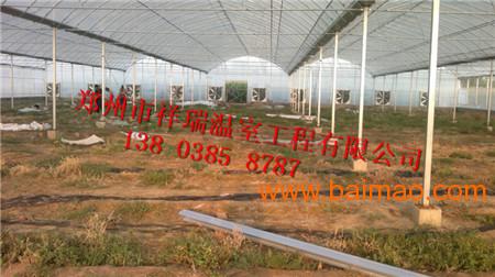 供应阳光板连栋温室骨架郑州的温室大棚建造公司