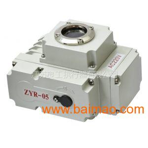 ZY精小型电动执行器ZYR-100 ZYR-200